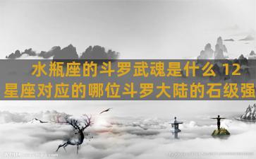 水瓶座的斗罗武魂是什么 12星座对应的哪位斗罗大陆的石级强